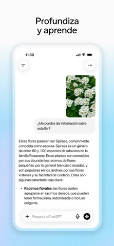 ChatGPT App Store preview screenshot 6