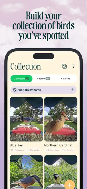 Birdbuddy: Screenshot 4 von 5
