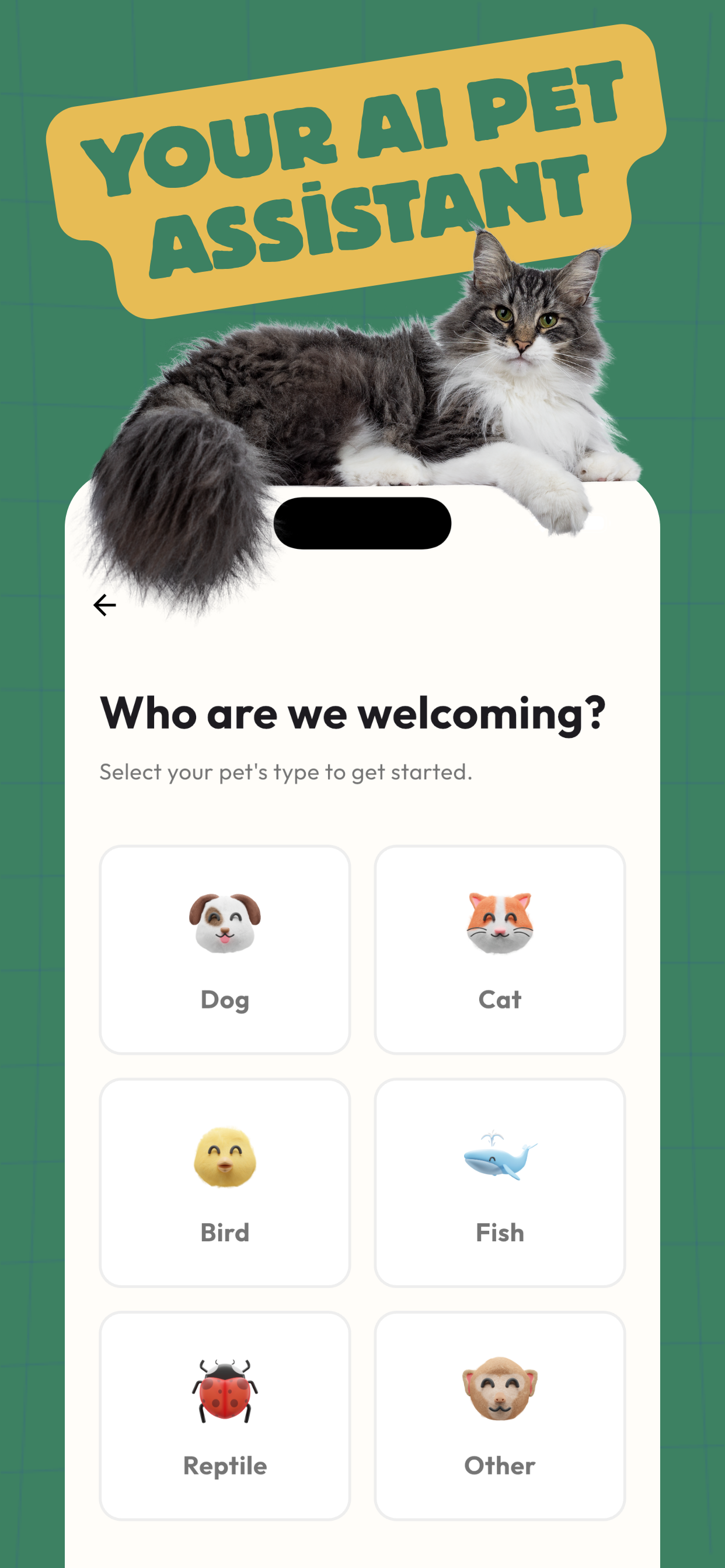 PiPet: AI Pet Care & Health