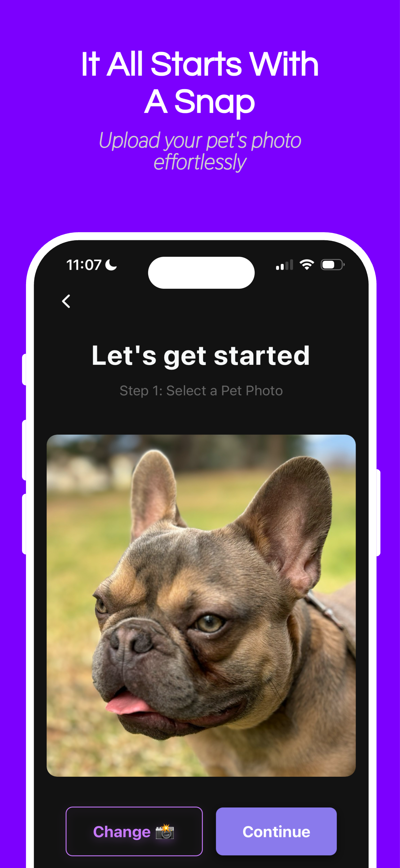 Petify: Pet Portraits