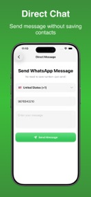 Web Scan - Dual Chat screenshot