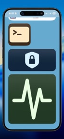 TerminalWidget screenshot