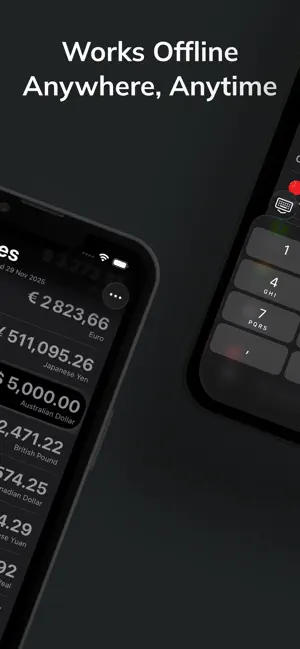 Currencies - Offline Converter screenshot 2