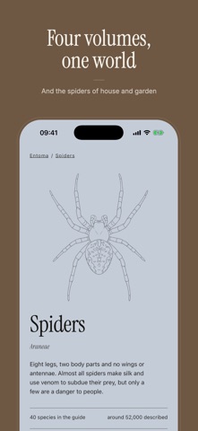 Entoma: Insect Field Guide screenshot 6