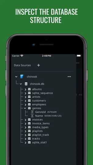 Capture d'écran de SQL Database Manager DB Client sur iPhone 5