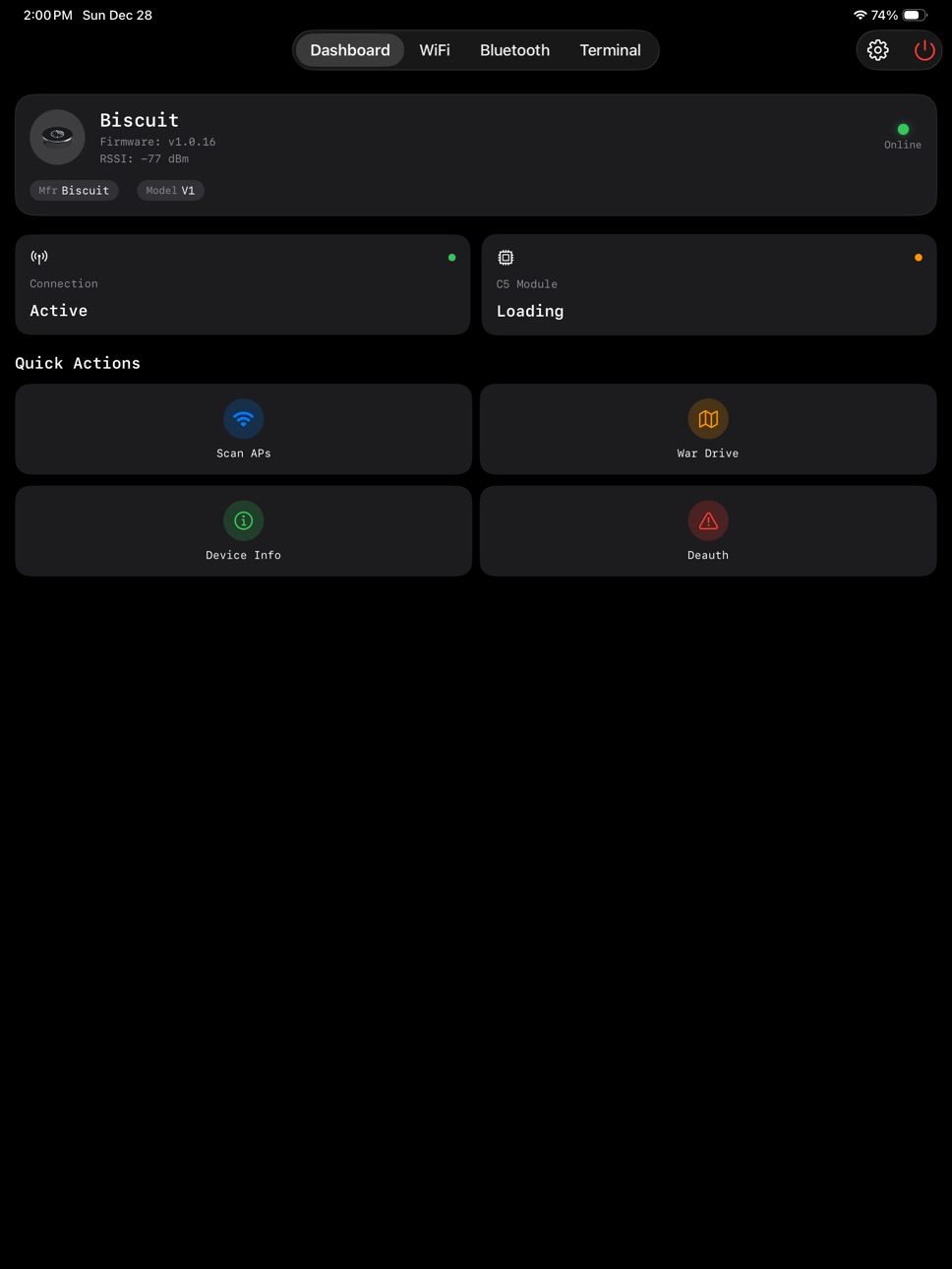 iPad screenshot