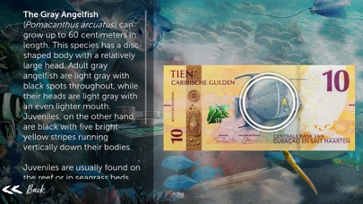 My Caribbean Guilder Screenshot