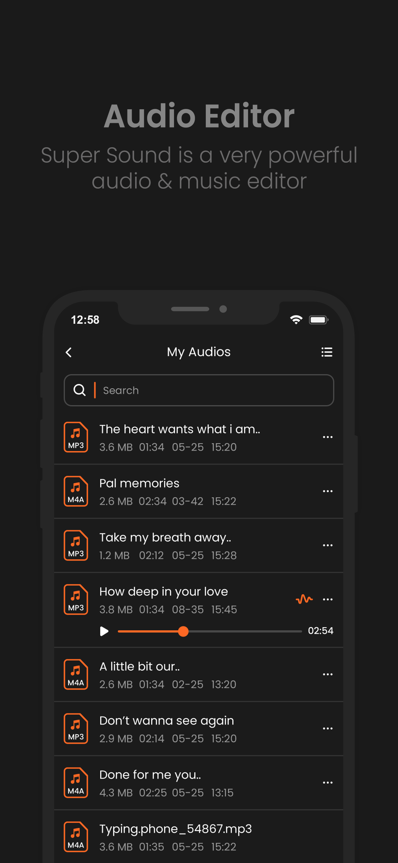 AudioLab Audio Editor Recorder screenshot 3