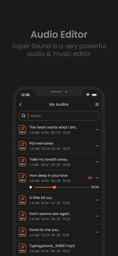 AudioLab Audio Editor Recorder - La interfaz permite gestionar colecciones de audio, presentando una lista detallada de archivos con sus formatos como 'MP3' y 'M4A', y una barra de búsqueda para una rápida localización.
