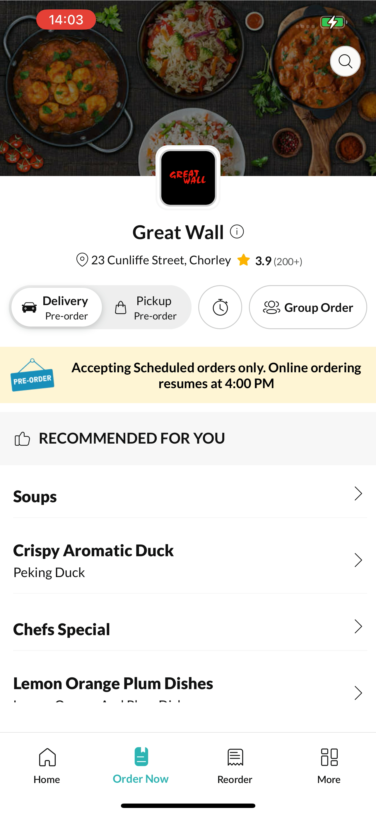 Great Wall. screenshot 3