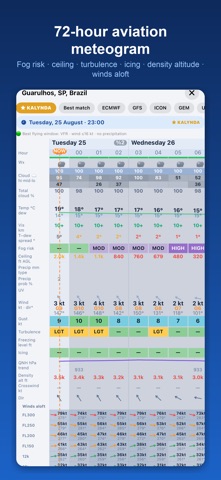 METAR TAF 3D iPhone screenshot