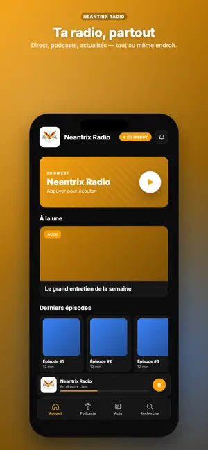 Neantrix Radio screenshot 4