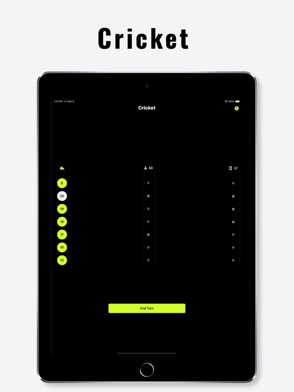 Dart Bot iPad screenshot 6 - Sports app