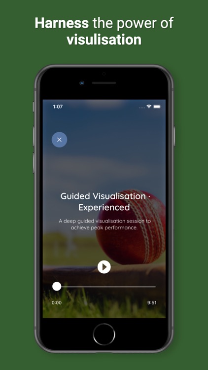 HeadStance - Cricket