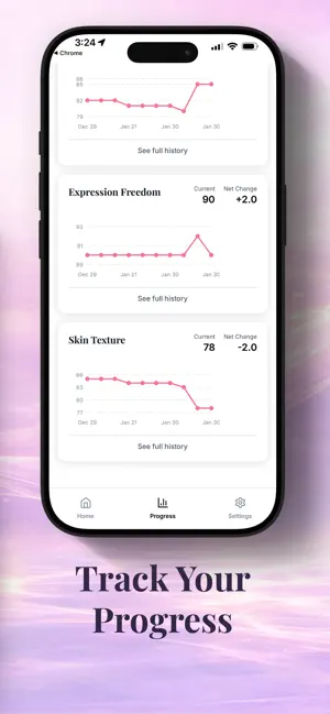 FaceGauge screenshot 4