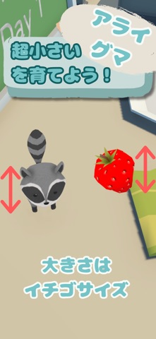 Zooとライフ　ちびアライグマと一緒　-癒しの動物育成ゲーム のスクリーンショット