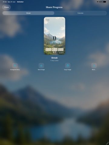 MeSober iPad screenshot