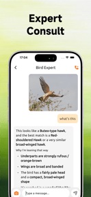 BirdSnap: Bird identifier screenshot