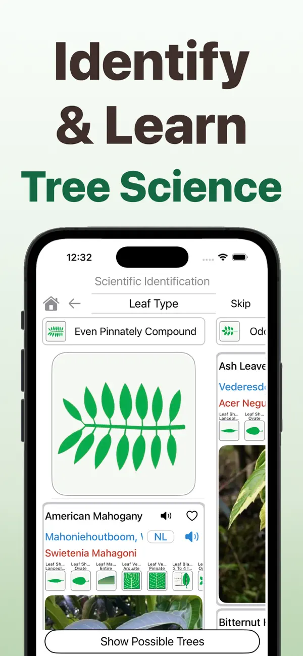 Screenshot #2 pour Forest Tree Identifier
