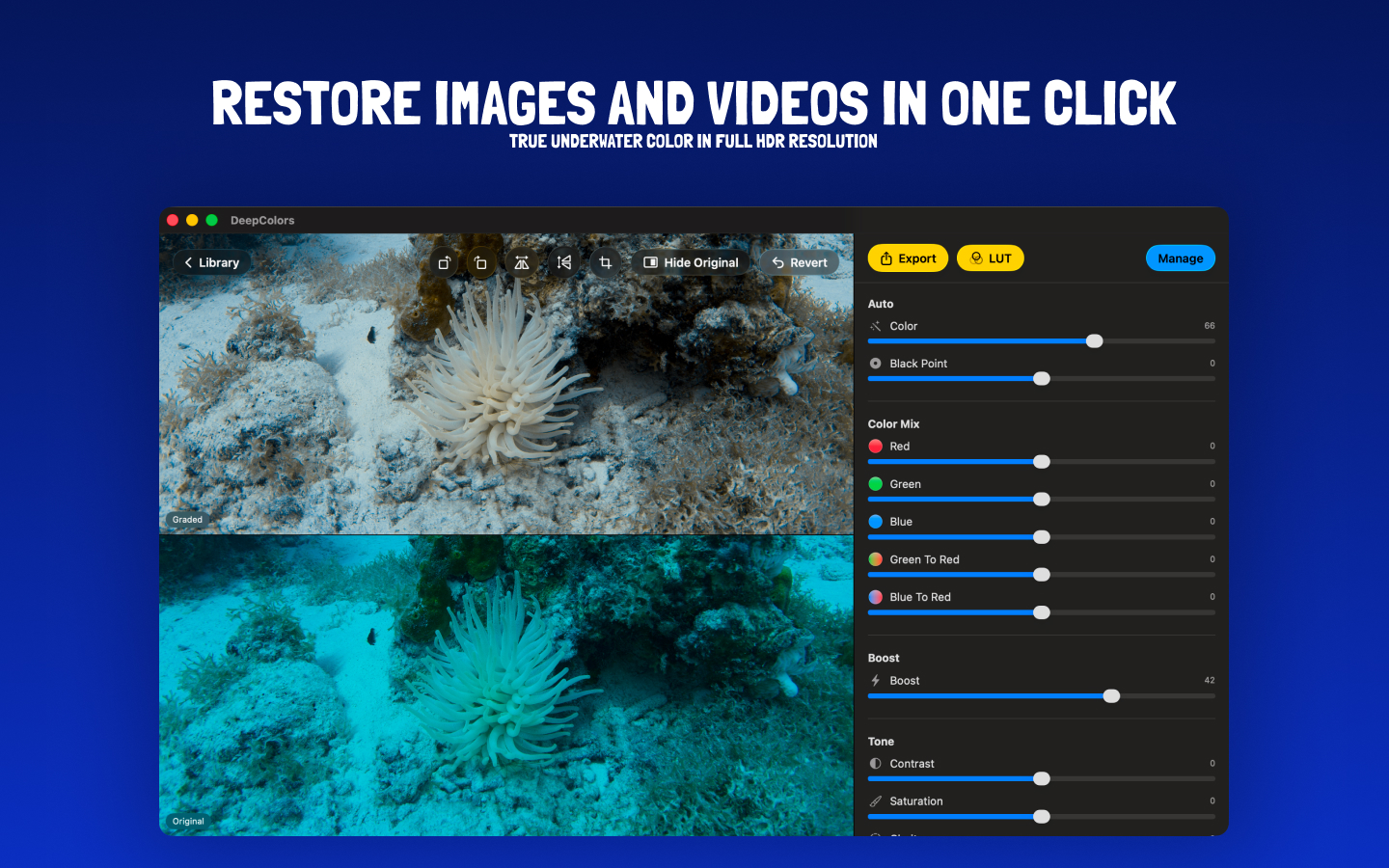 DeepColors: Dive Photo & Video screenshot 11