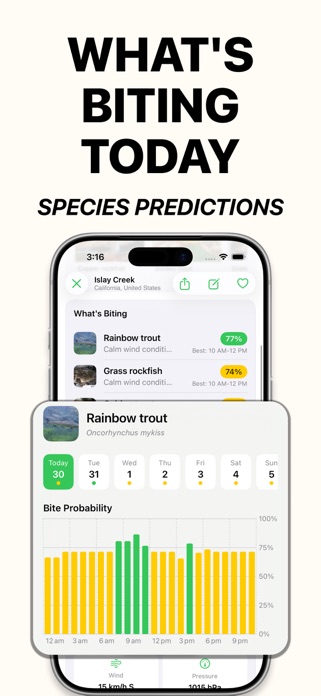 Fishing Spots Map: WikiCatch Screenshot 2 of 7
