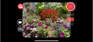 Blogra screenshot