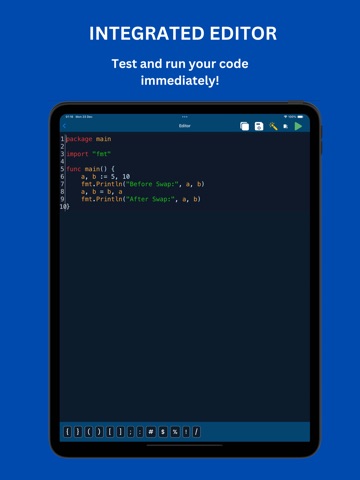 Learn Go: Backend Coding iPad screenshot