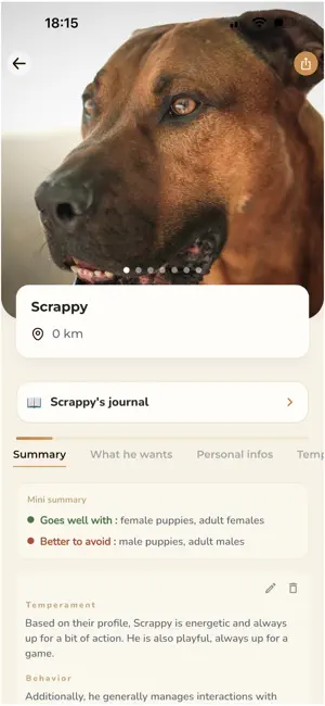 TEN INU screenshot 4