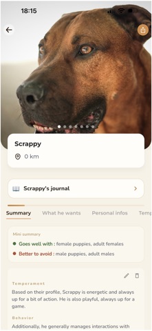 TEN INU Screenshot 4 of 6
