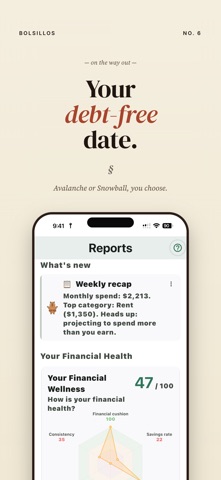 Bolsillos: Offline Budget App Screenshot 6 of 8