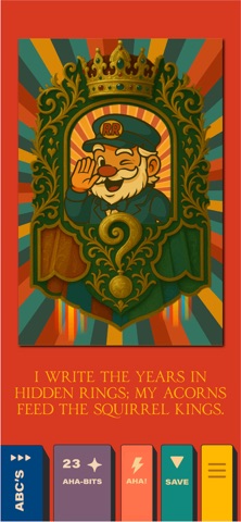 RiddlePa: Riddles & Teasers iPhone screenshot