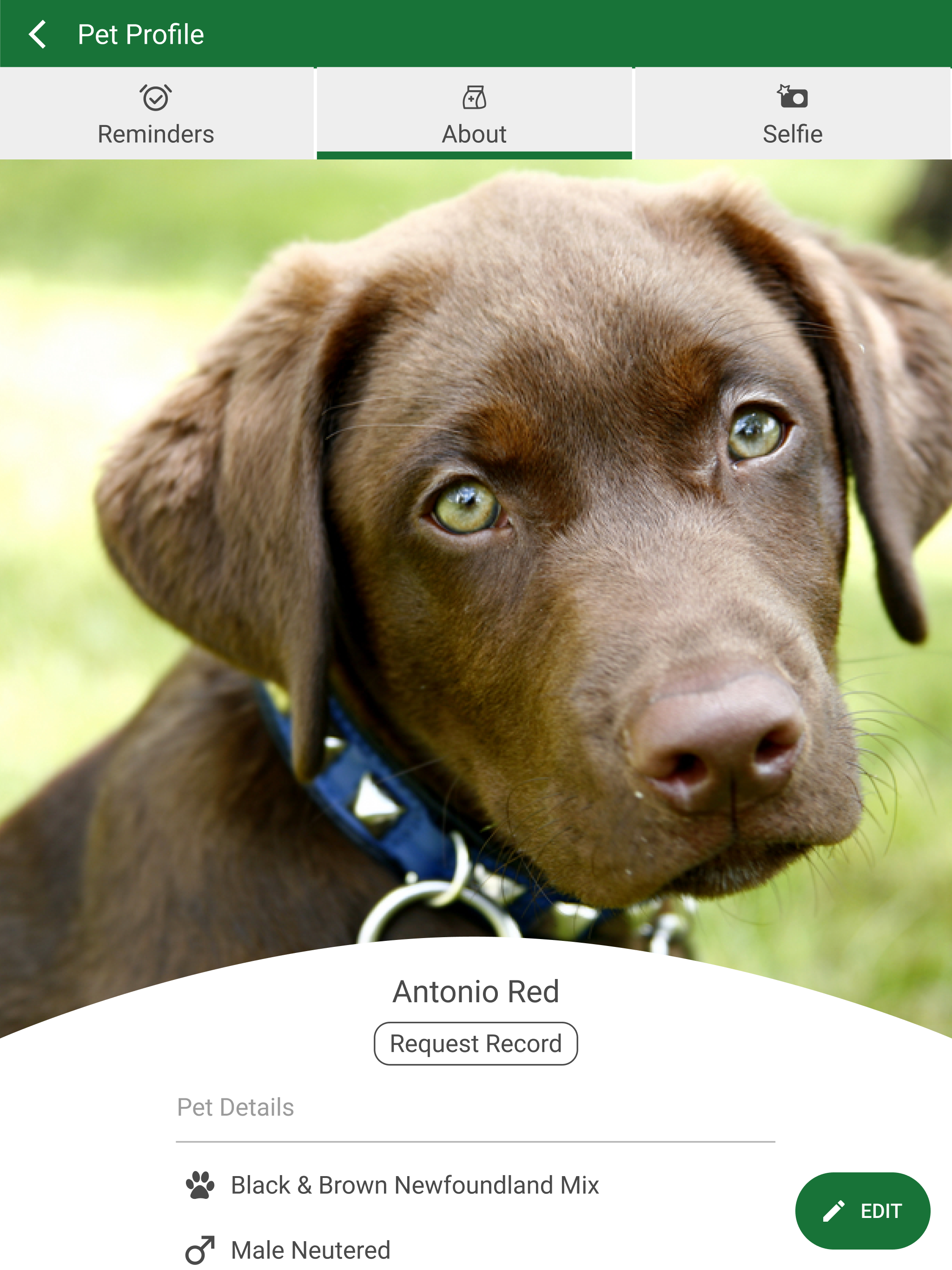 Token Creek Vet Clinic screenshot 16
