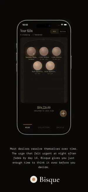 BisqueApp screenshot 1