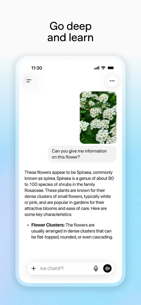 ChatGPT screenshot 6 of 6