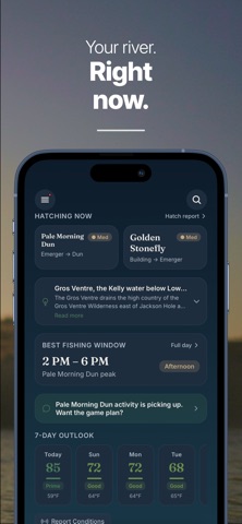 Rivus: Fly Fishing Screenshot 5 of 5