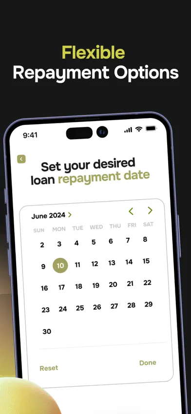 Cash Advance - Same Day Loan screenshot 5