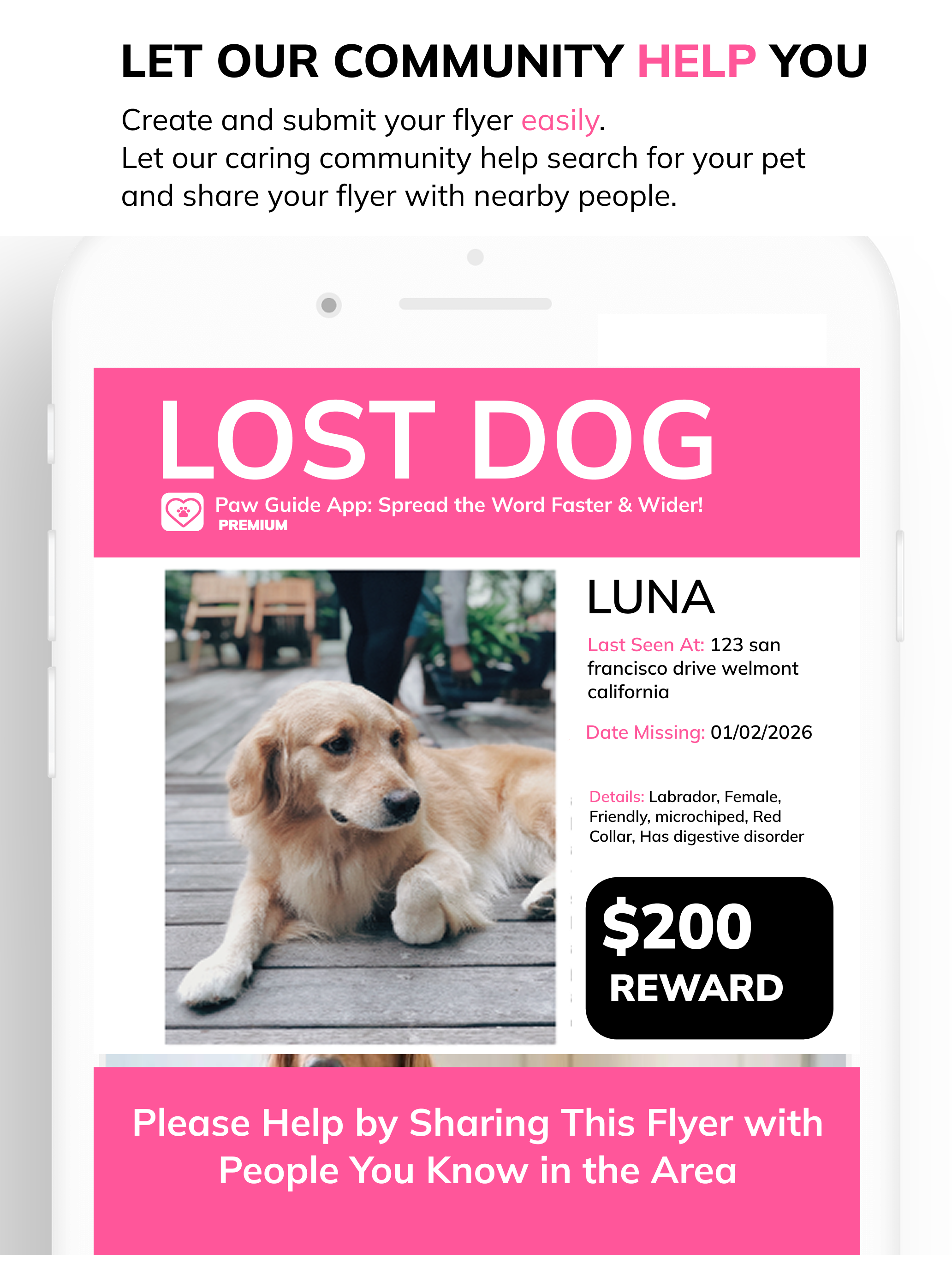 Paw Guide: Lost & Found Pets
