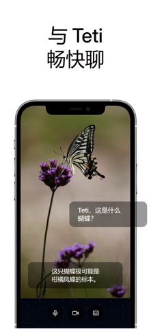 Teti - Private AI Assistant screenshot