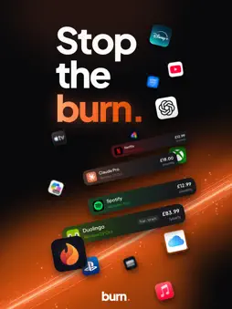 Subscription Tracker: Burn screenshot 8