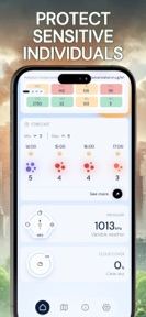 Pollution • Pollen • Widget screenshot