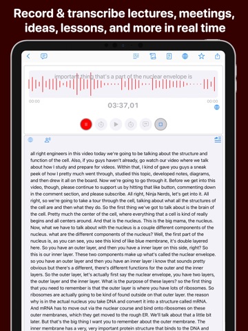 Aı Note Taker - Voice Notes iPad screenshot