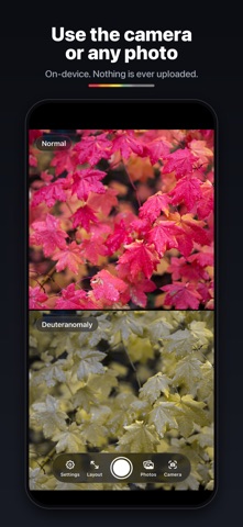 Color Blindness Camera Screenshot 4 of 5