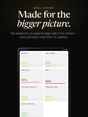 Runlow: AI Usage Meter iPad screenshot