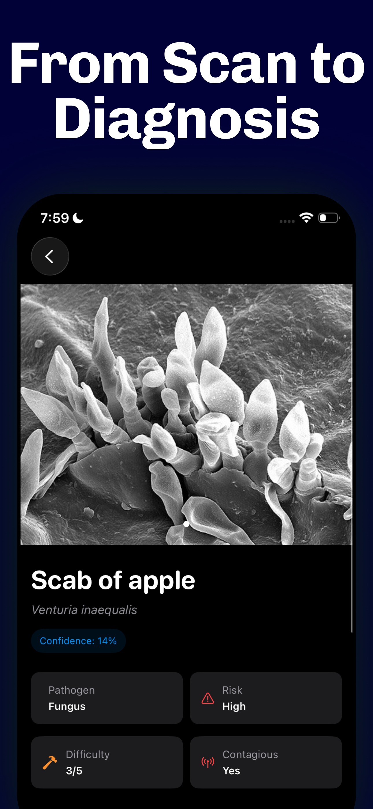 Flant: Flower, Tree Identifier screenshot 9
