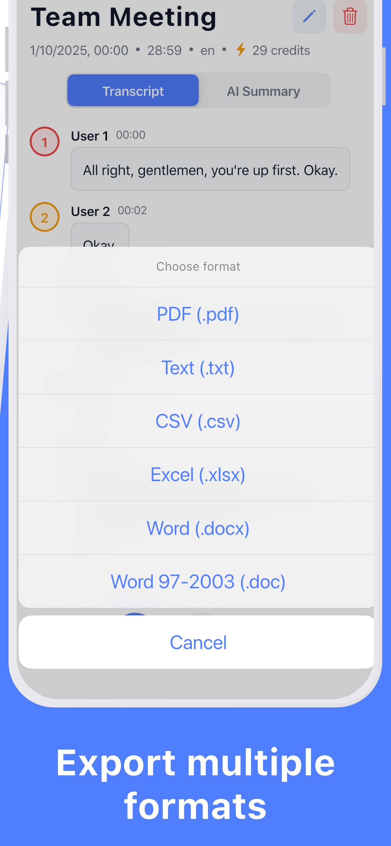 VoiceTrack: AI Meeting Notes screenshot 4