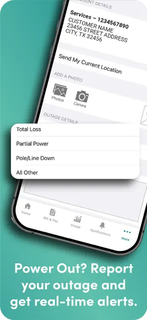 CoServ screenshot 2