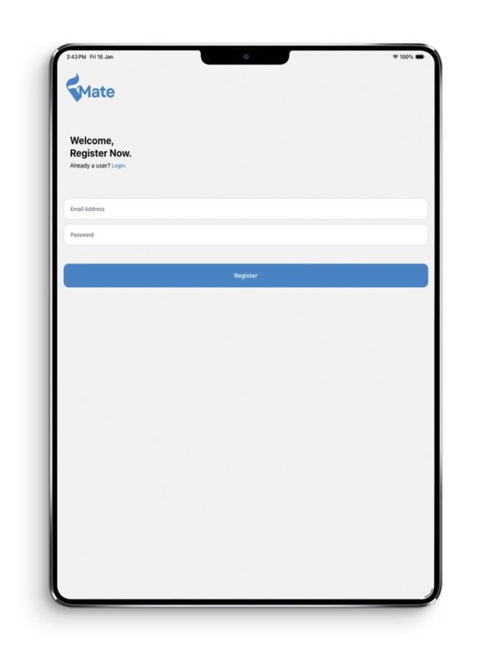 iPad screenshot