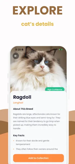 Cat Breed Identifier: Scanner screenshot 3