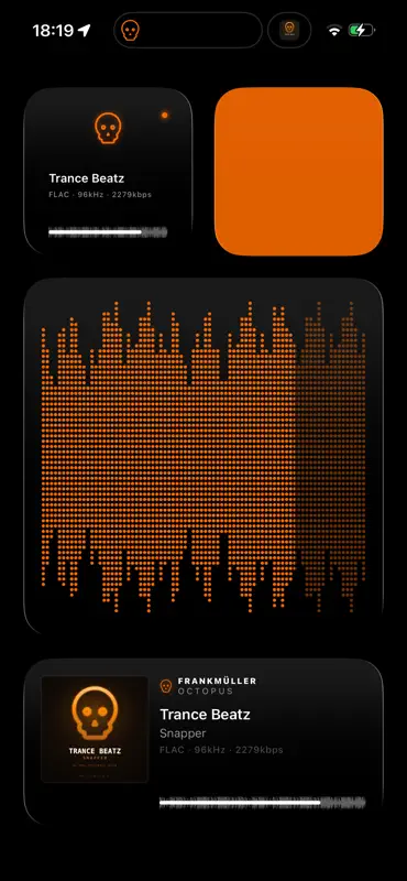 Octopus | Hi-Fi Music Player screenshot 7 of 10