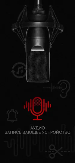 Скриншот Диктофон: Очиститель на iPhone 1
